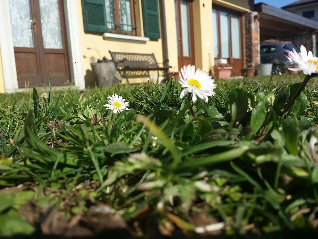 Bed & Breakfast B&B I Due Noci Cardano Al Campo