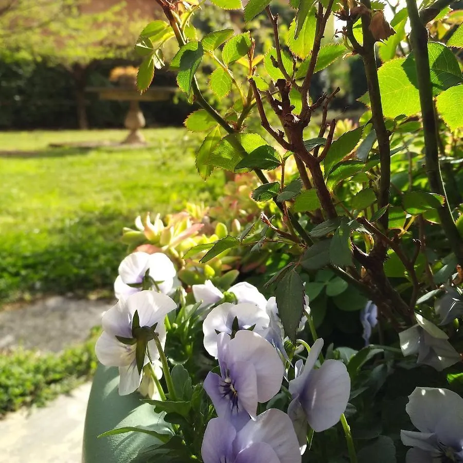 B&B I Due Noci Cardano Al Campo Bed & Breakfast